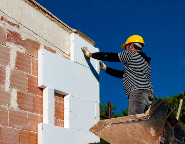 Best Insulation Installation Services in Fridley, MN