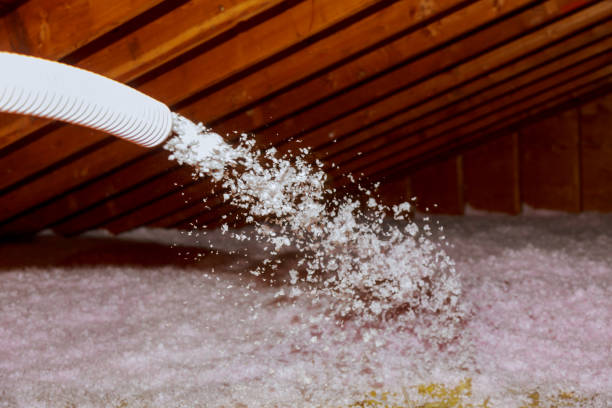 Best Types of Insulation in Fridley, MN