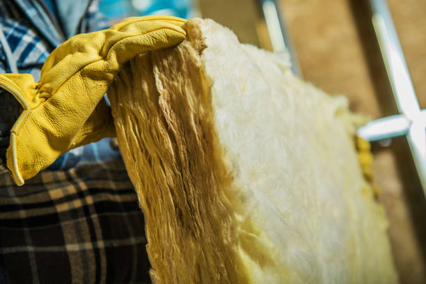 Best Residential Insulation in Fridley, MN