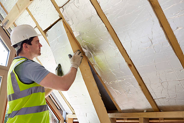 Best Insulation Installation Services in Fridley, MN