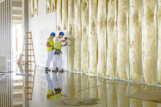 Best Specialty Insulation in Fridley, MN